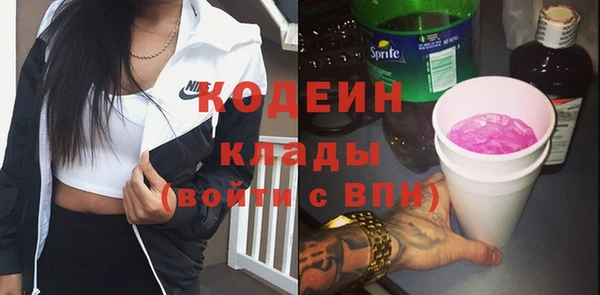 шишки Иннополис