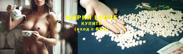 шишки Иннополис