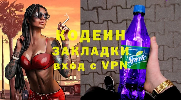 шишки Иннополис