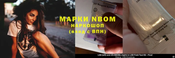 шишки Иннополис