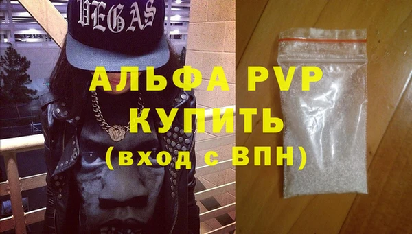 шишки Иннополис