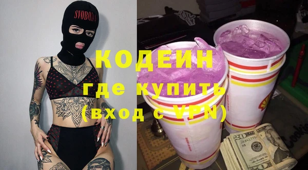 шишки Иннополис